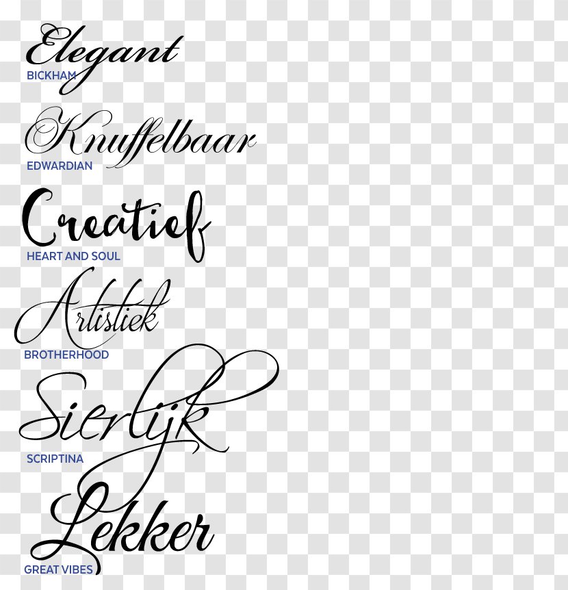 Modern Typography Serif Font - Paper - Design Transparent PNG