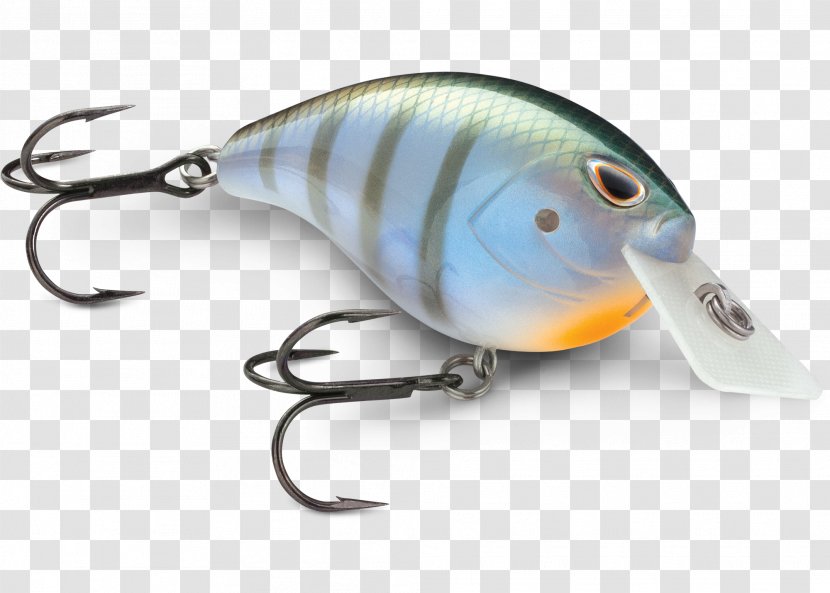 Fishing Baits & Lures Bass Rapala Square, Inc. - Lure Transparent PNG
