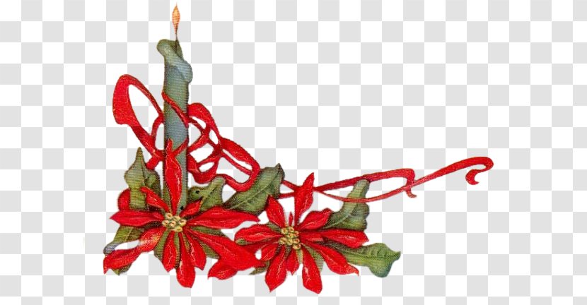 Christmas Ornament Floral Design Cut Flowers Food - Chandelle Transparent PNG