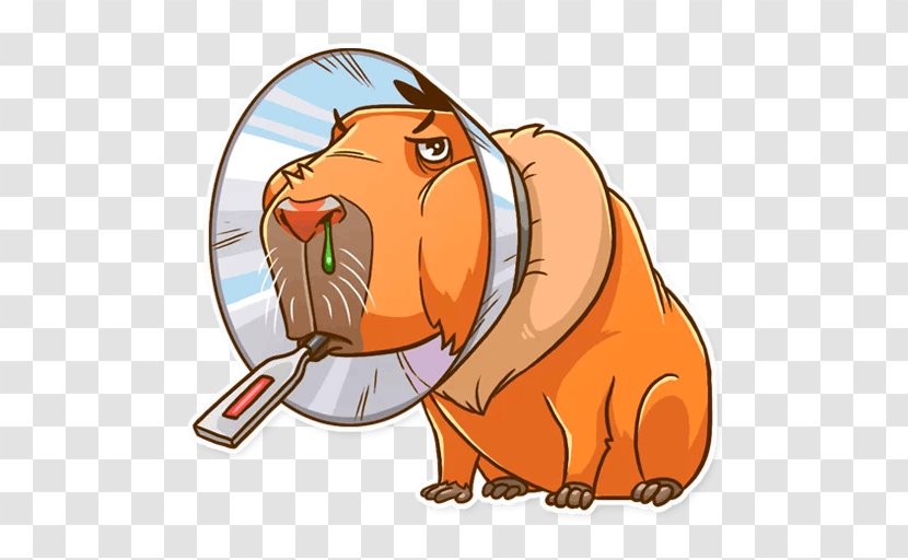 Capybara Telegram Sticker Snout Clip Art - Viber Transparent PNG