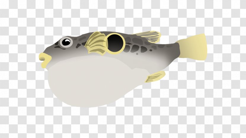 Fish - Seafood - Puffer Transparent PNG