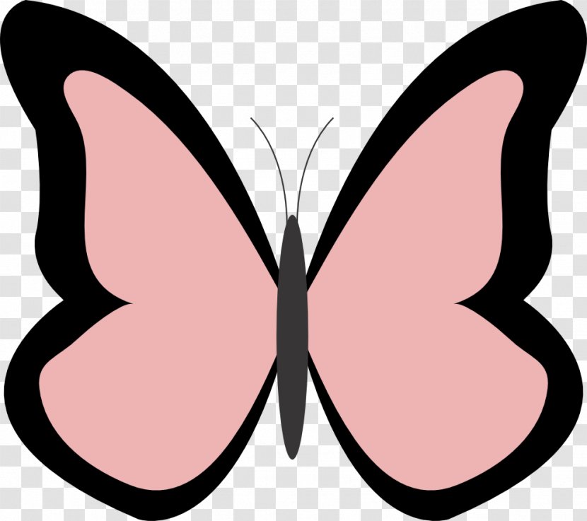 Monarch Butterfly Coloring Book Clip Art - Symmetry Transparent PNG