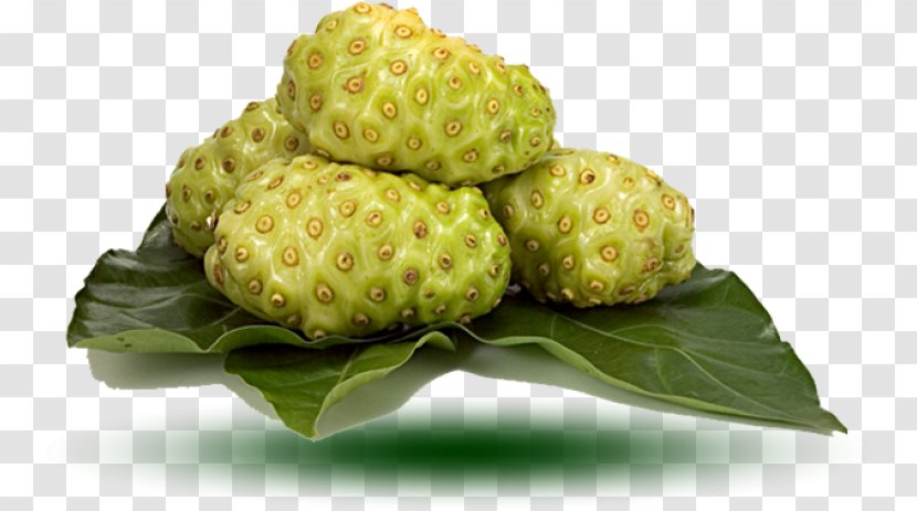 Cheese Fruit Noni Juice Auglis Health - Natural Foods Transparent PNG