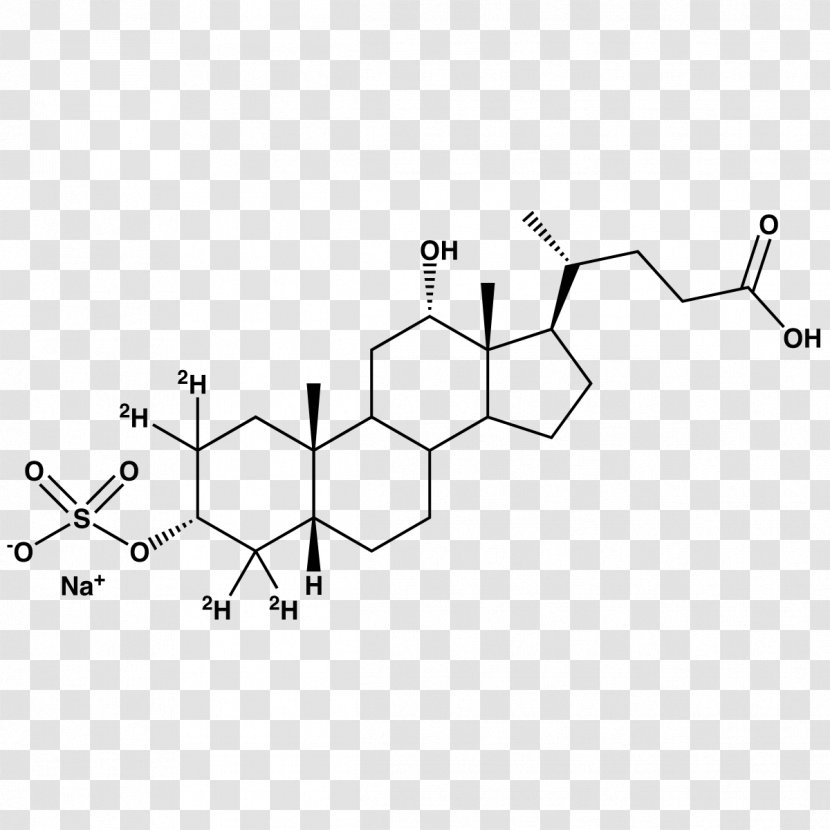 Sterol Deoxycholic Acid Ursodiol Structure Taurocholic - Flower - Sodium Sulfate Transparent PNG