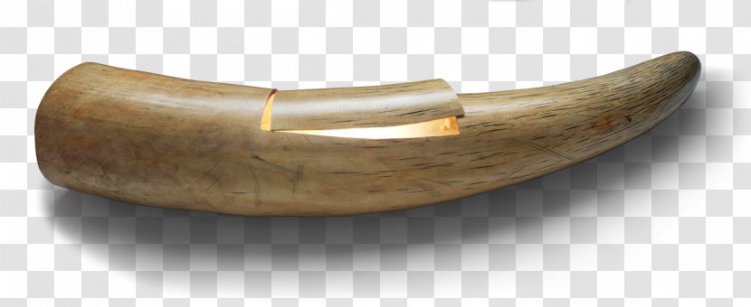 African Elephant Ivory Trade Tusk Transparent PNG