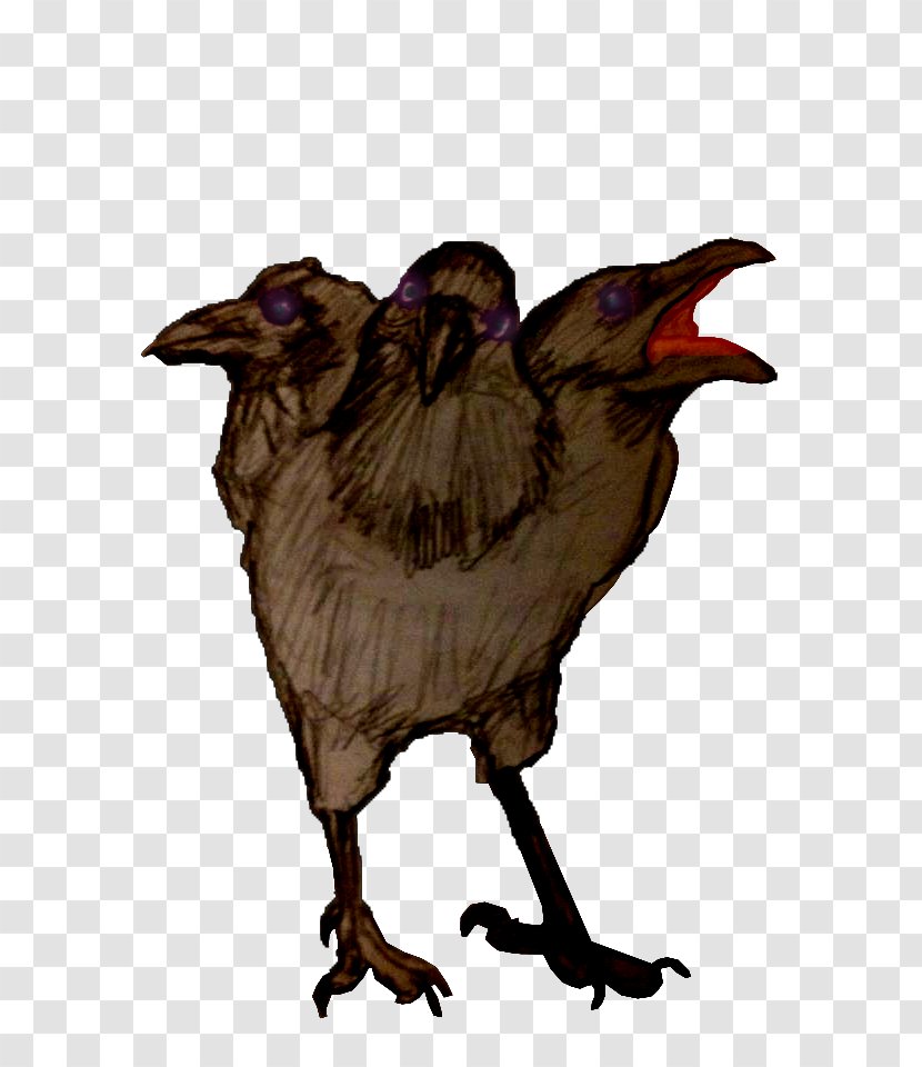 Beak Crow Chicken As Food - Wing Transparent PNG