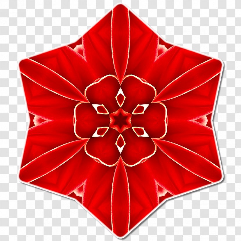 Photography - Library - Red Star Transparent PNG