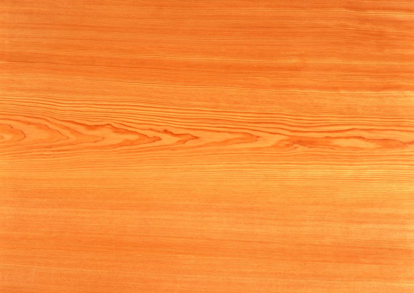 Hardwood Wood Stain Varnish Flooring Plywood - Orange Transparent PNG