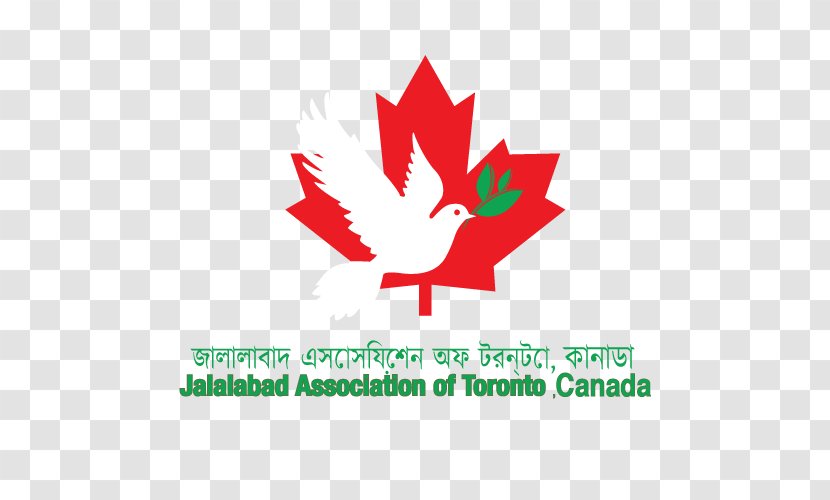 Flag Of Canada T-shirt Maple Leaf Transparent PNG