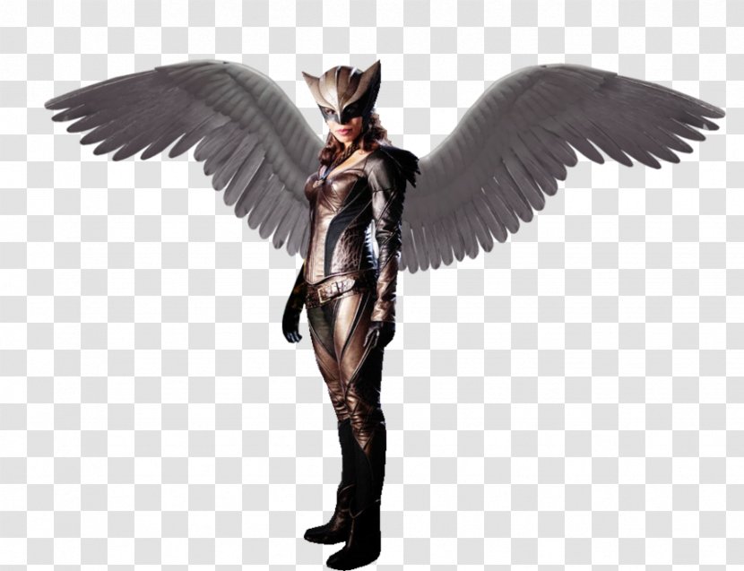 Hawkgirl Hawkman (Katar Hol) Doomsday - Drawing Transparent PNG
