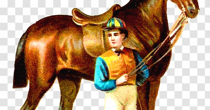 Thoroughbred Horse Racing Jockey Equestrian Clip Art - Rein - Race Transparent PNG