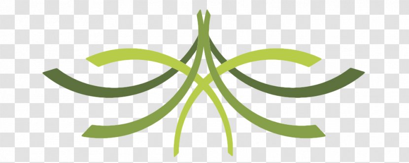 Leaf - Symbol - Coaching Service Transparent PNG