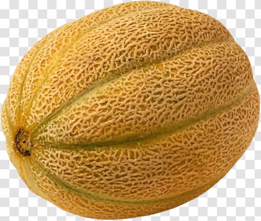 Cantaloupe 2011 United States Listeriosis Outbreak Honeydew Watermelon - Cucumis - Netted Melon Transparent PNG