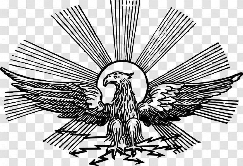 Bald Eagle Bird Clip Art - Logo Transparent PNG