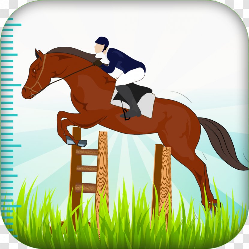 Horse Equestrian Show Jumping Pony English Riding - Pack Animal Transparent PNG