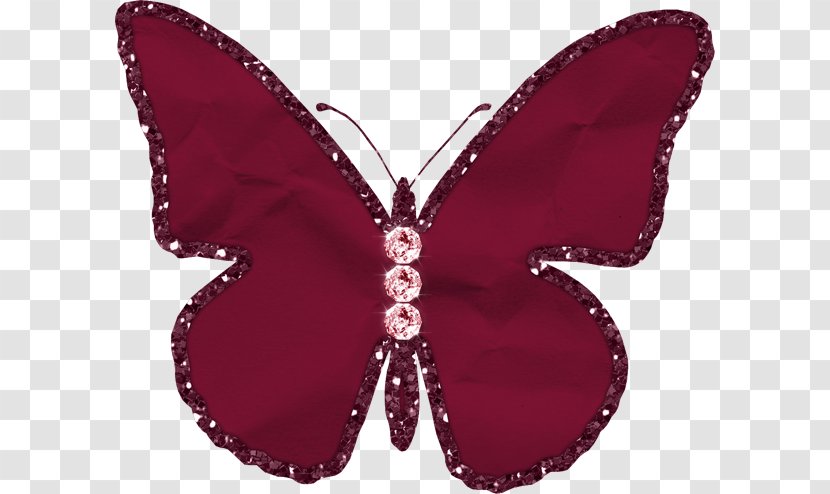 Butterfly Color Clip Art - Pollinator Transparent PNG