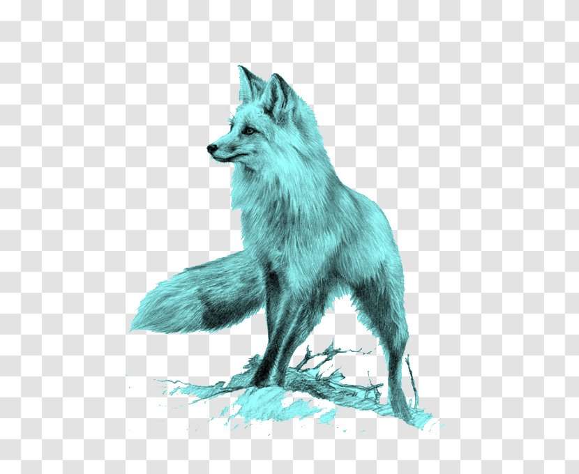 Red Fox Drawing Cat - Wildlife - Blue Transparent PNG