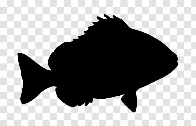 Fish Silhouette Flatfish Bony-fish - Rayfinned Bonyfish Transparent PNG