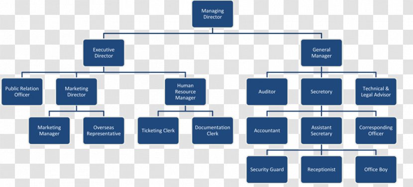 Organizational Chart Structure Business Management - Publicity Pictures Transparent PNG