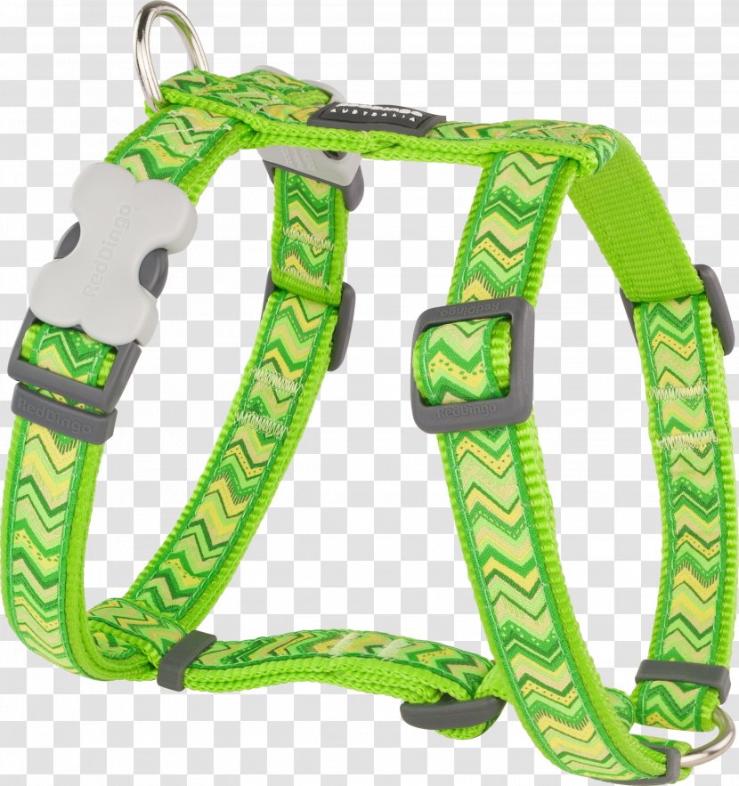Dingo Dog Harness Horse Harnesses Leash - Grooming Transparent PNG