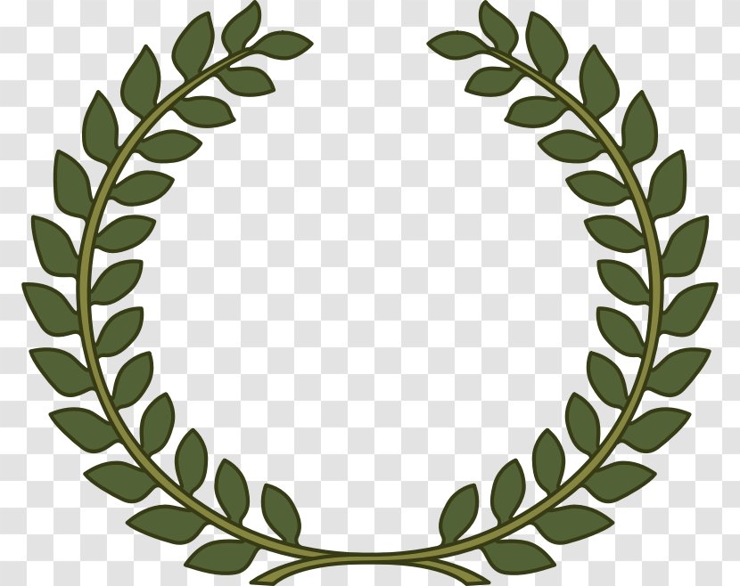 Laurel Wreath Bay Clip Art - Olive Leaf Transparent PNG