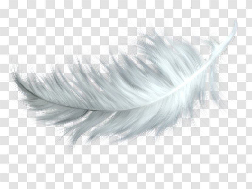 Feather Clip Art - Black And White Transparent PNG