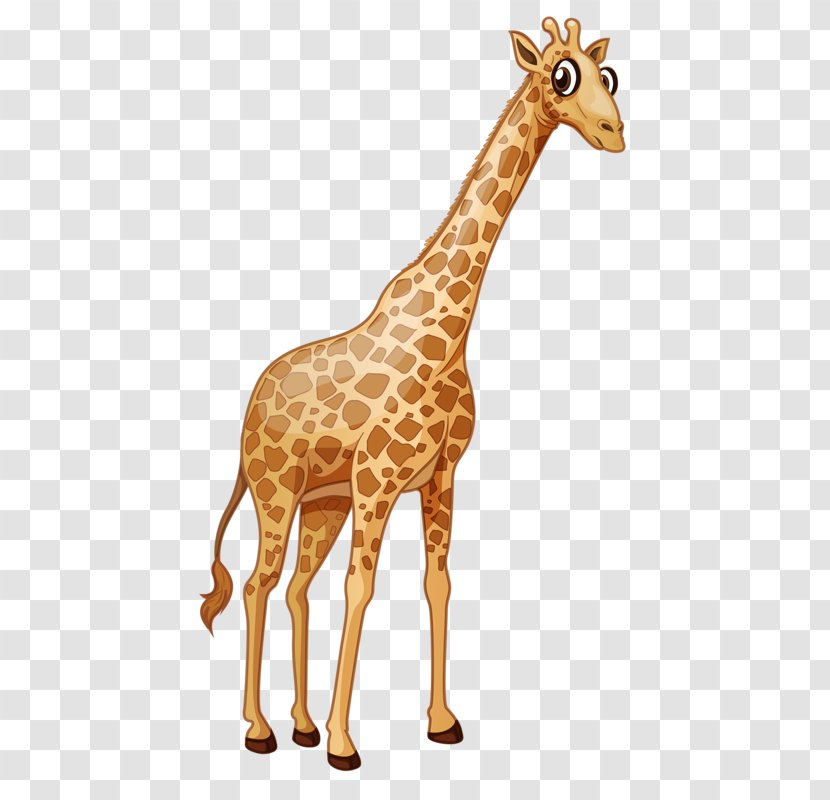 Giraffe Euclidean Vector Royalty-free Illustration - Terrestrial Animal - Cute Transparent PNG