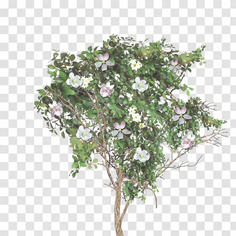 Twig Flowerpot Houseplant Lilac Shrub - Foreground Tree Transparent PNG