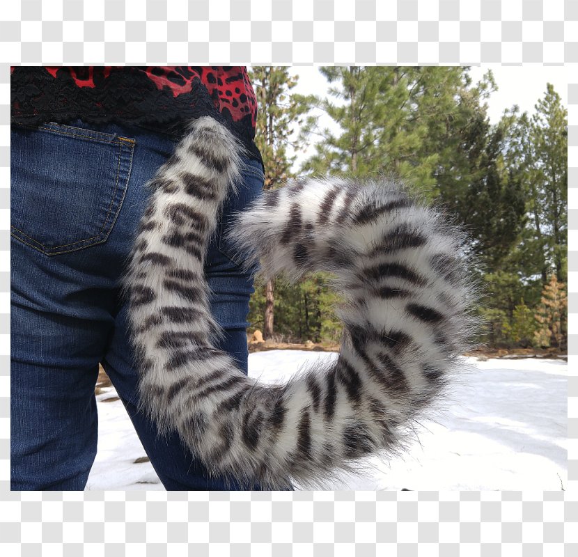 Cat Felidae Leopard Tail Furry Fandom - Fox Transparent PNG