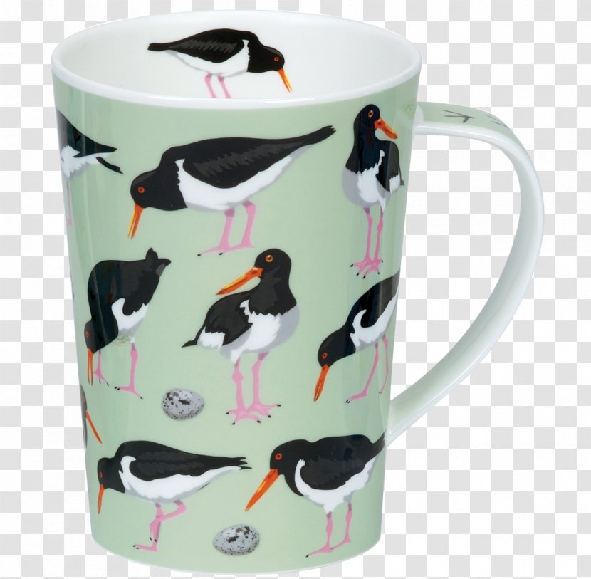 Bird Mug Coffee Cup Haematopus Argyll Transparent PNG