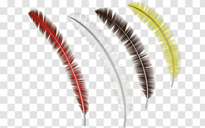 Feather Image Resolution - Computer Software Transparent PNG