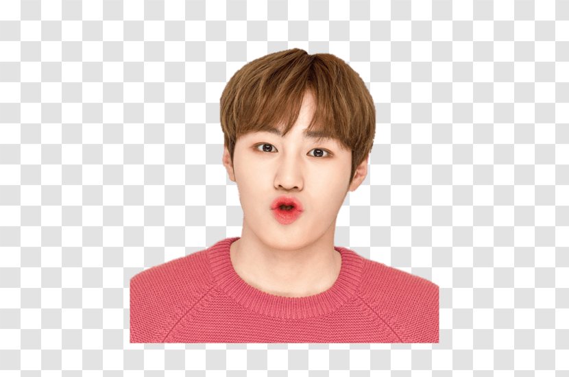 Ha Sung-woon Wanna One Lip Balm 1X1=1 (To Be One) - Innisfree Transparent PNG