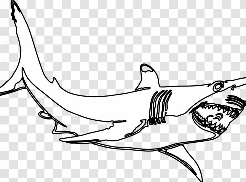Great White Shark Clip Art Drawing Image - Line Transparent PNG