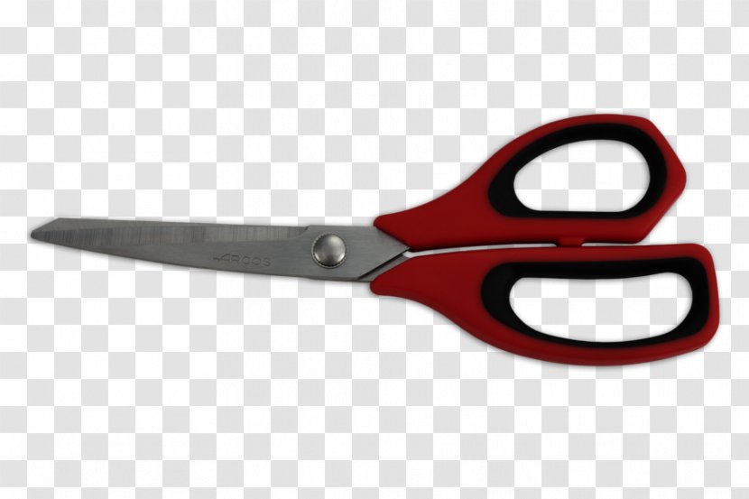 Scissors Arcos Tijera De Cocina Steel Blade - Kitchen Knives - Ciseaux Cuisine Transparent PNG