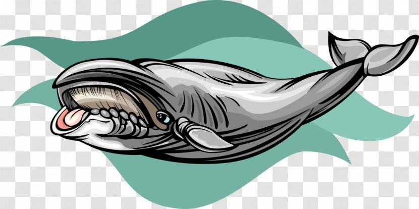 Requiem Sharks Dolphin Porpoise Illustration - Fish Transparent PNG