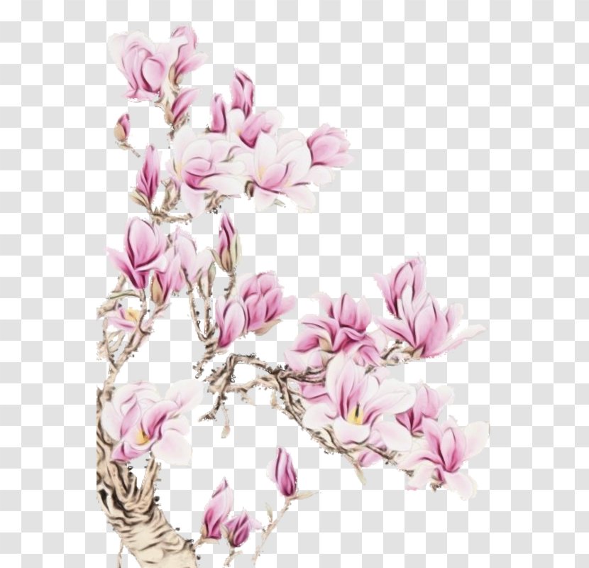 Cherry Blossom Cartoon - Manicure - Cyclamen Transparent PNG