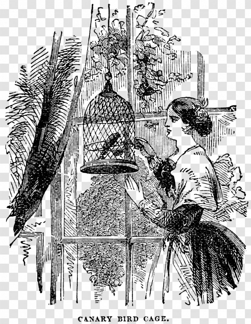 Domestic Canary Birdcage Art - Woman - Bird Transparent PNG