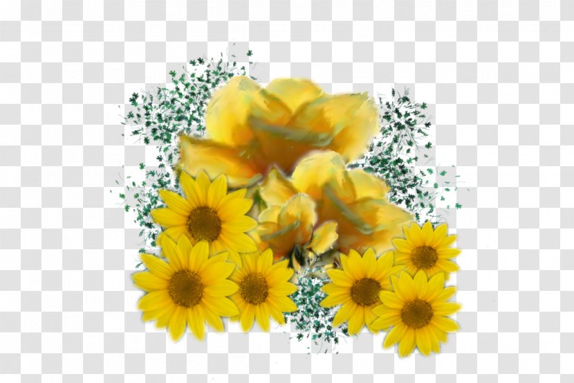 Common Sunflower Yellow Rose Desktop Wallpaper - Daisy Family Transparent PNG
