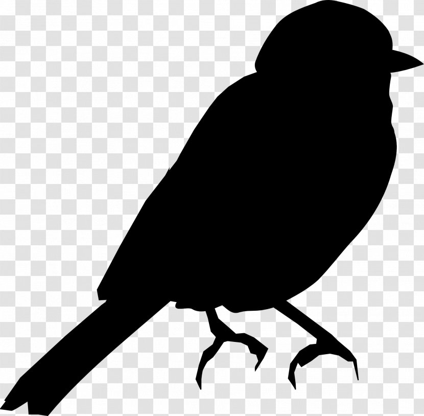 Bird Swallow Silhouette Clip Art Illustration - Raven - Blackbird Transparent PNG