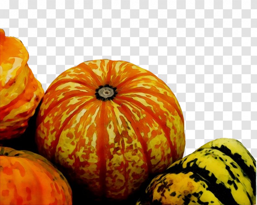 Pumpkin - Squash - Gourd Transparent PNG