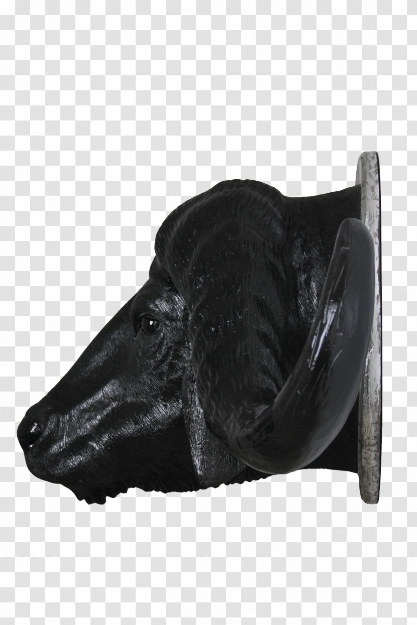 Shoe Snout Black M - Buffalo Head Transparent PNG
