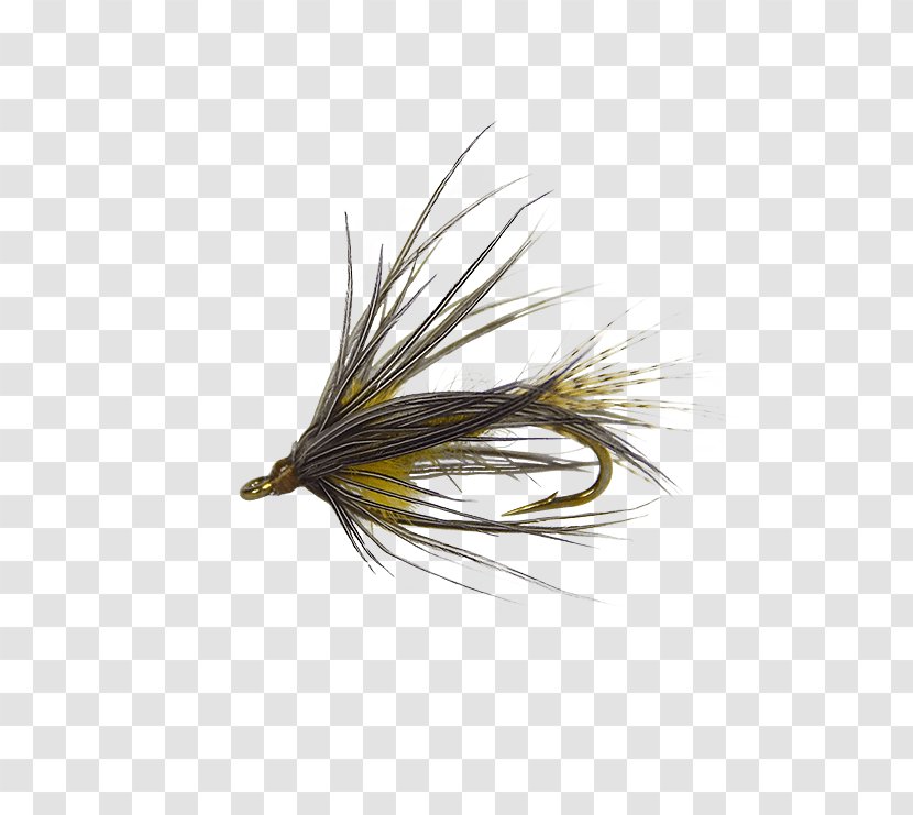 Artificial Fly Hackle Holly Flies Quill Corp Stock Keeping Unit - Mount Springs Transparent PNG