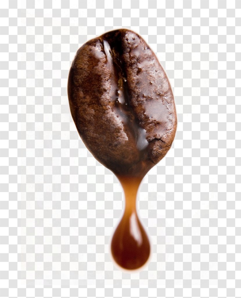 Coffee Bean Arabica Brewed Stock Photography - Preparation - Beans Transparent PNG