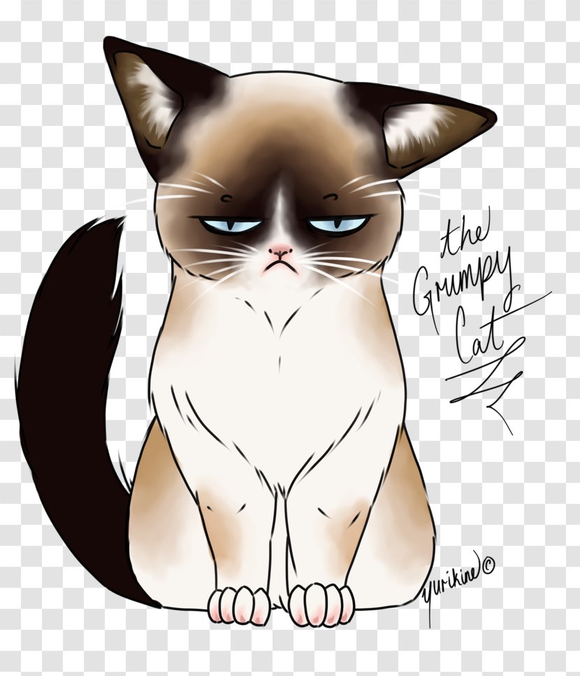 Grumpy Cat Mug Drawing T-shirt - Watercolor - Jerrycan Transparent PNG