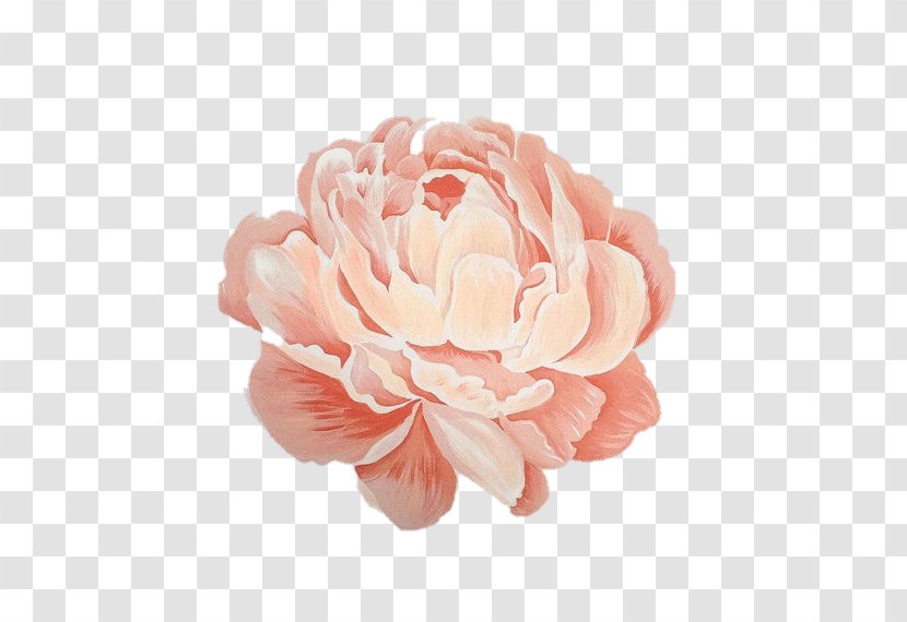 Peony Floral Design Painting Work Of Art Transparent PNG