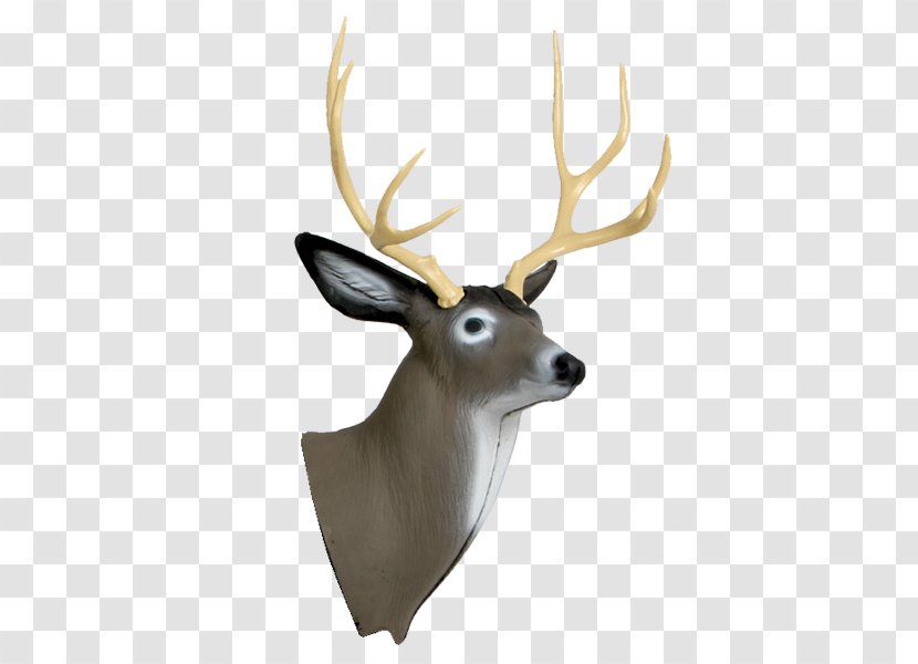 White-tailed Deer Target Archery Shooting - Hunting - Head Transparent PNG