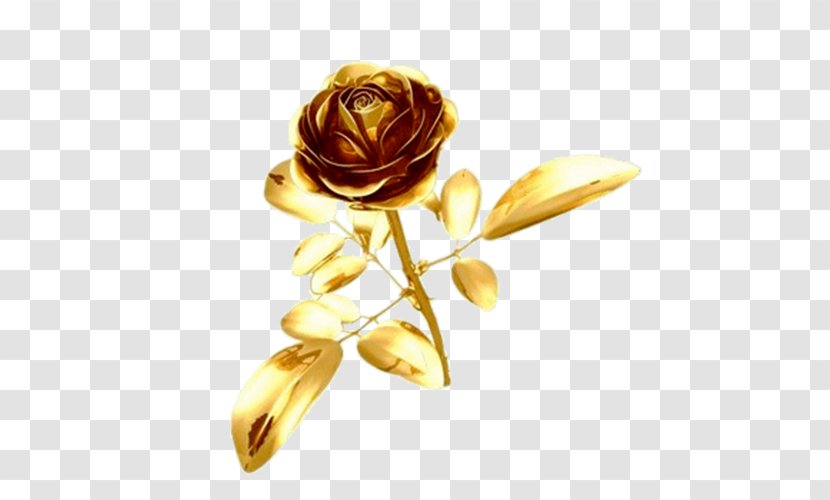 Ping - Cut Flowers - Golden Rose Transparent PNG