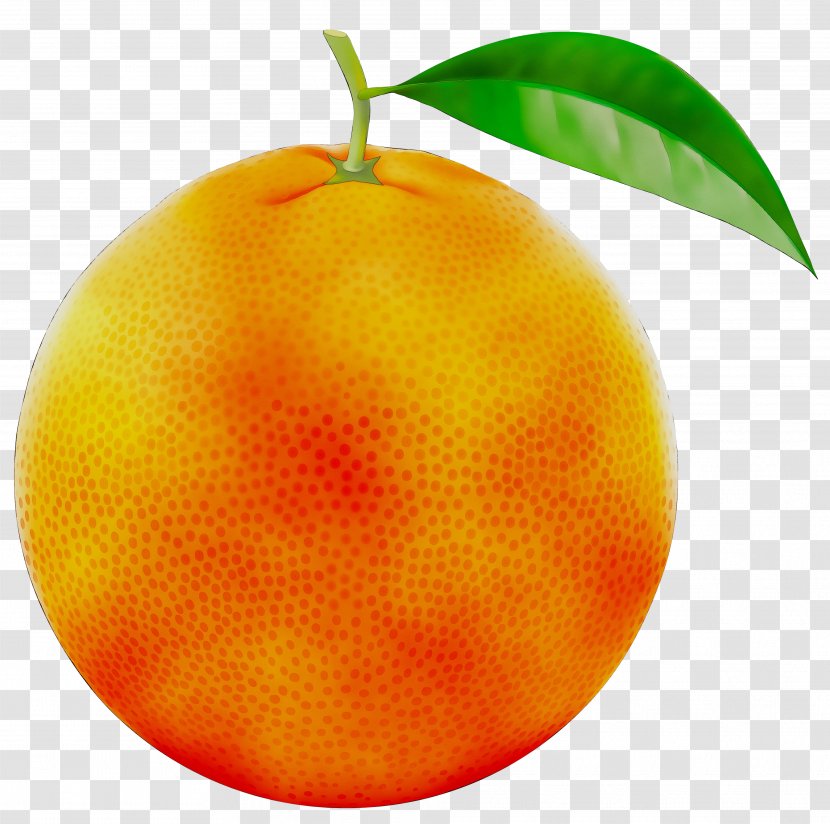 Clementine Tangerine Mandarin Orange - European Plum Transparent PNG