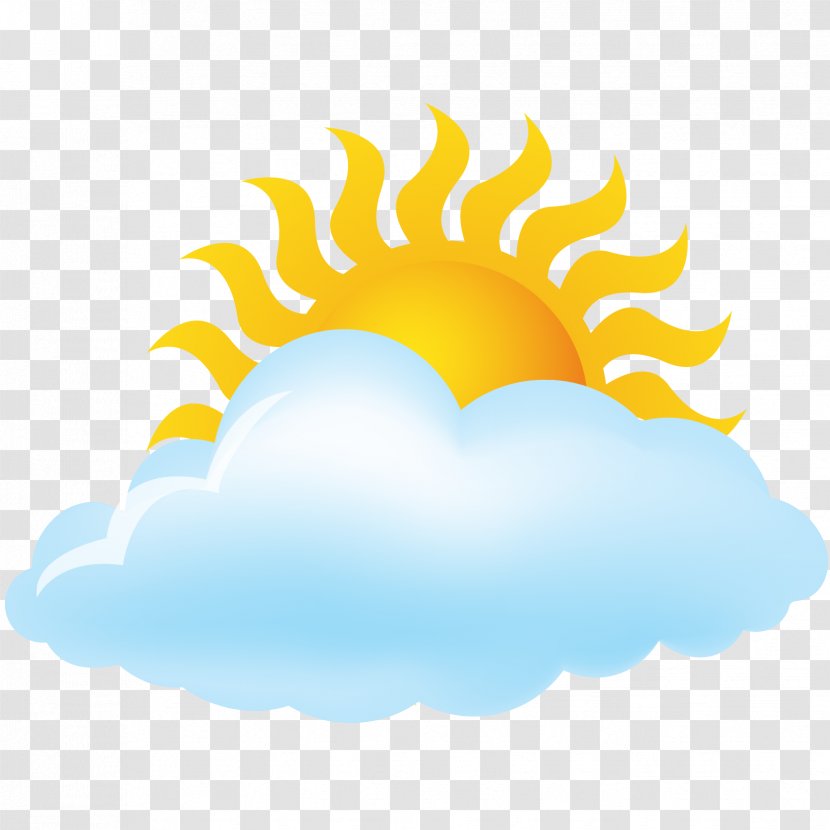 T-shirt Cloud Weather Clip Art - Tree - Vector Cloudy Forecast Icon Material Transparent PNG