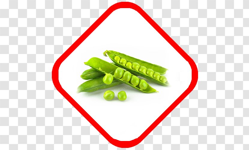 Pease Pudding Vegetable Pea Protein Food - Frame Transparent PNG